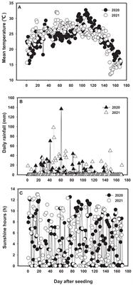 Improving productivity of Sesbania pea in saline soils by enhancing antioxidant capacity with optimum application of nitrogen and phosphate combination